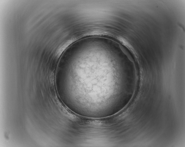 X0000102281329200808011441