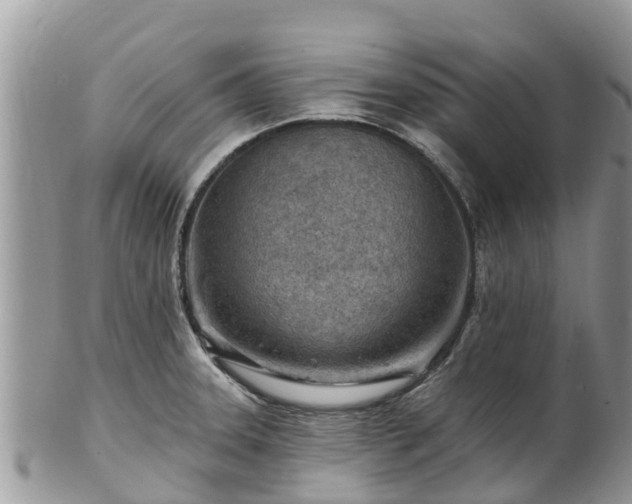 X0000102281331200808011441