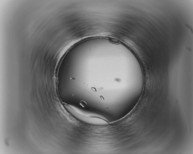 X0000102281332200808011441