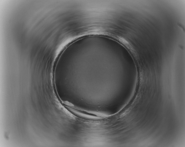 X0000102281334200808011441