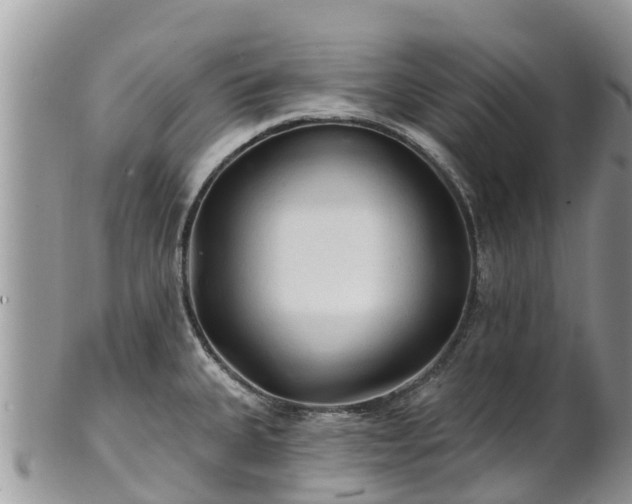 X0000102281335200808011441
