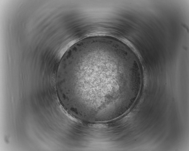X0000102281337200808011441