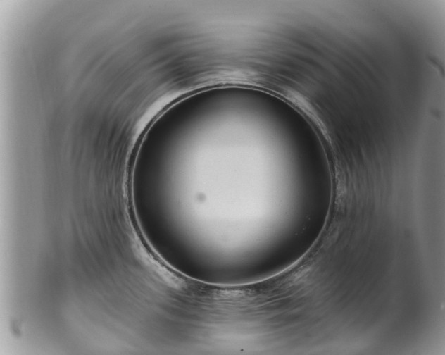 X0000102281339200808011441