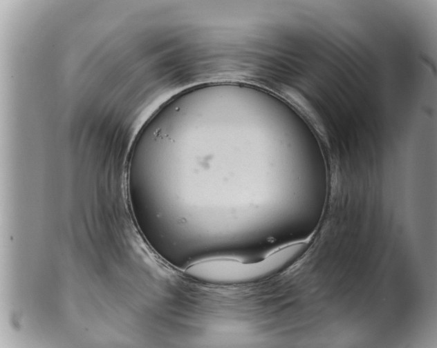 X0000102281340200808011441