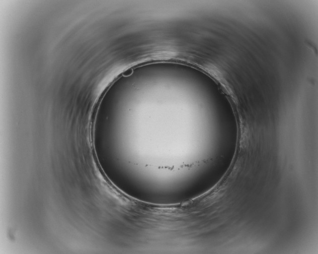 X0000102281342200808011441