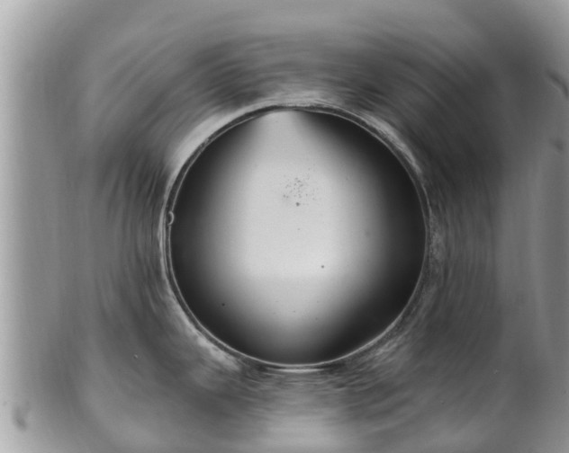 X0000102281343200808011441