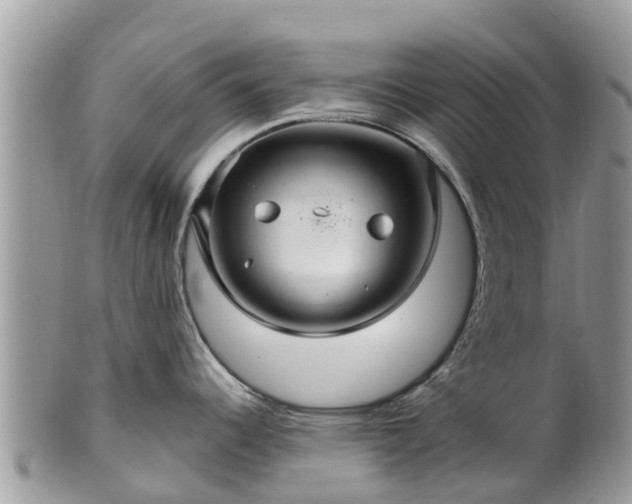 X0000102281344200808011441