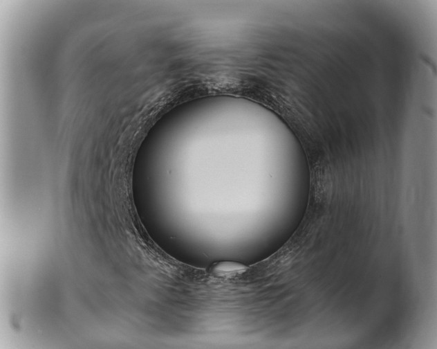 X0000102281345200808011441
