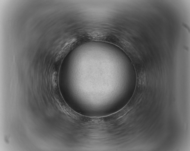X0000102281346200808011441