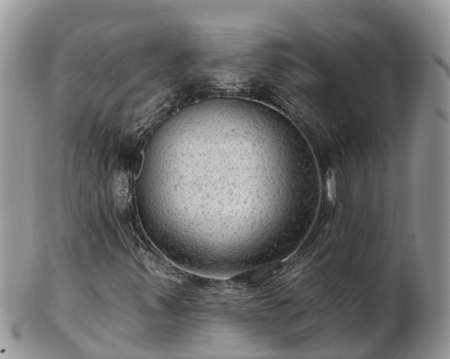X0000102281347200808011441