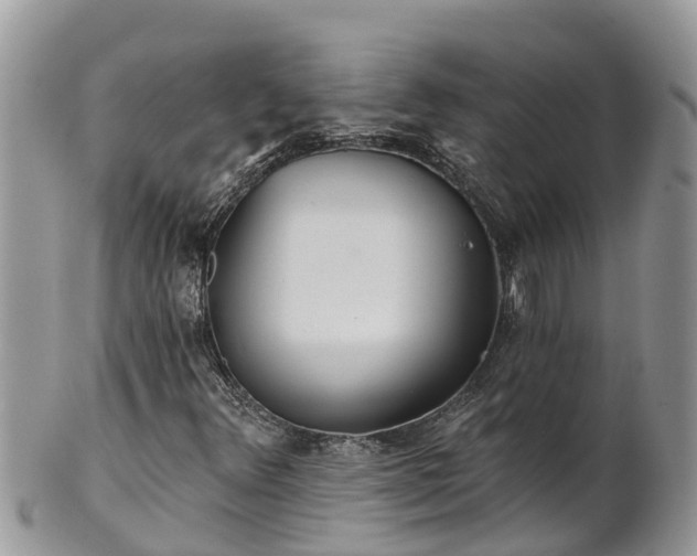 X0000102281348200808011441