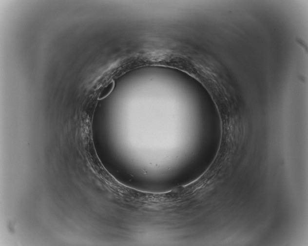 X0000102281349200808011441