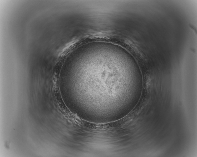 X0000102281350200808011441