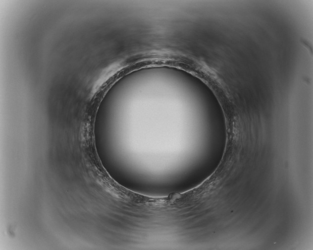 X0000102281352200808011441