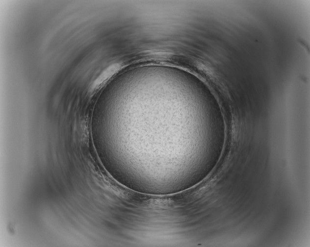 X0000102281354200808011441