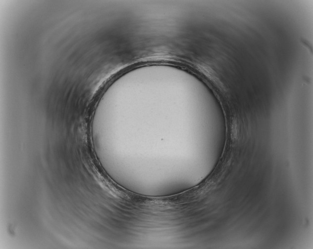 X0000102281356200808011441