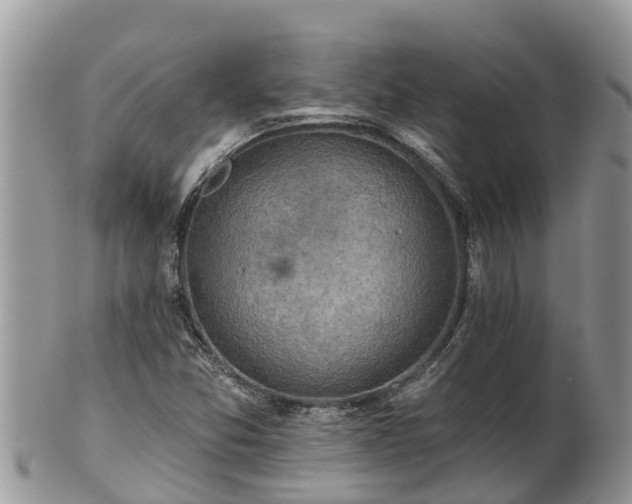 X0000102281357200808011441