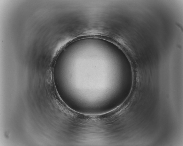 X0000102281358200808011441