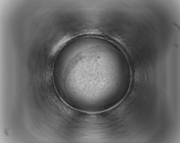 X0000102281359200808011441