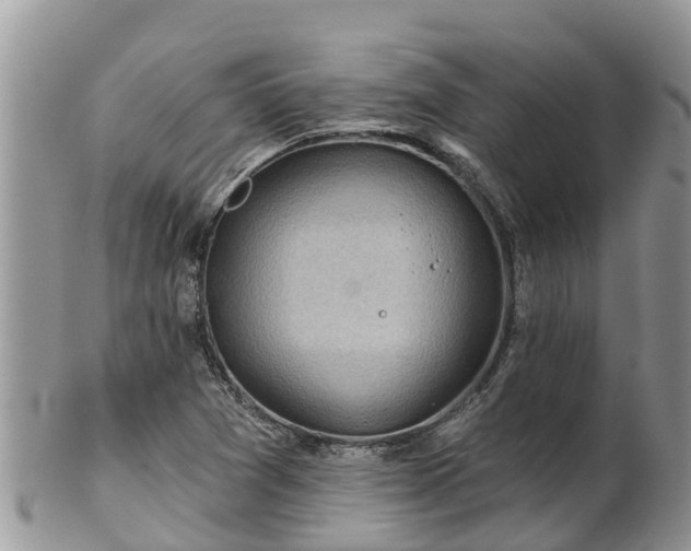 X0000102281361200808011441