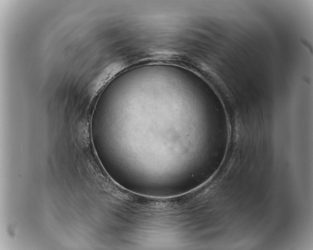 X0000102281362200808011441