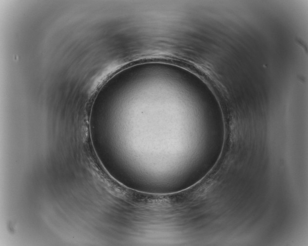 X0000102281363200808011441