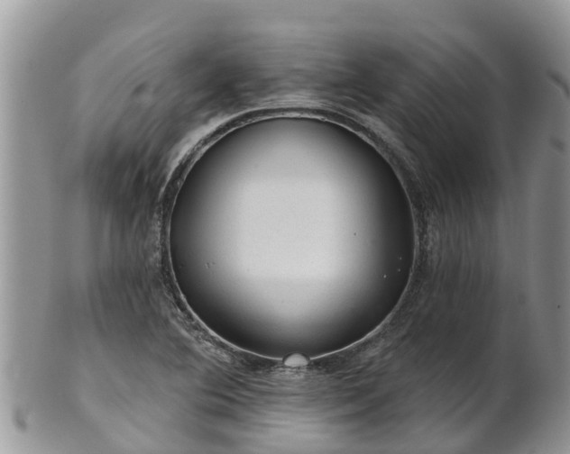 X0000102281364200808011441