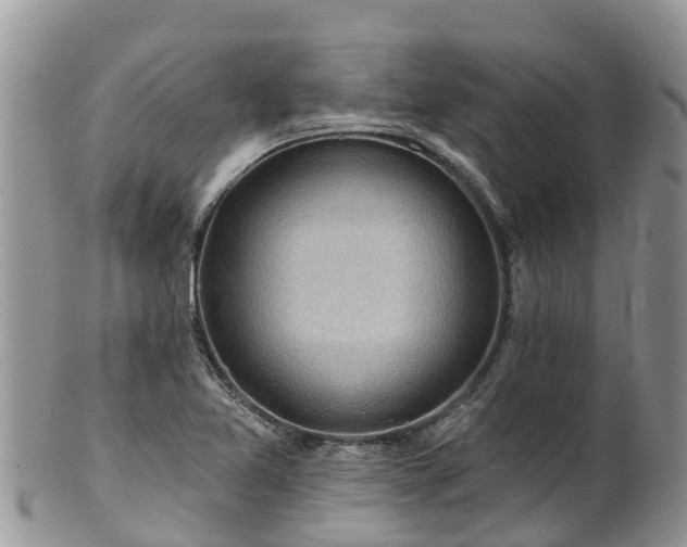 X0000102281365200808011441
