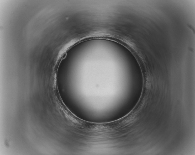 X0000102281366200808011441