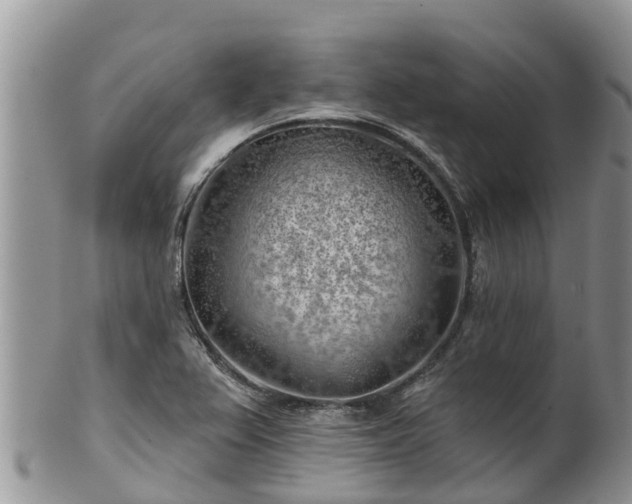X0000102281367200808011441