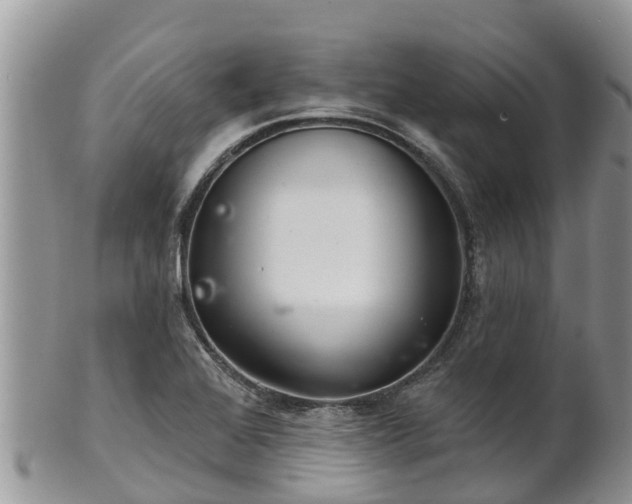 X0000102281368200808011440