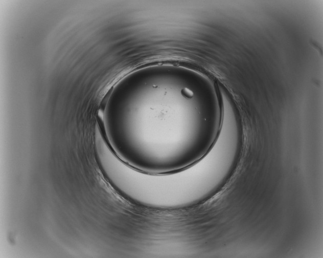X0000102281369200808011440