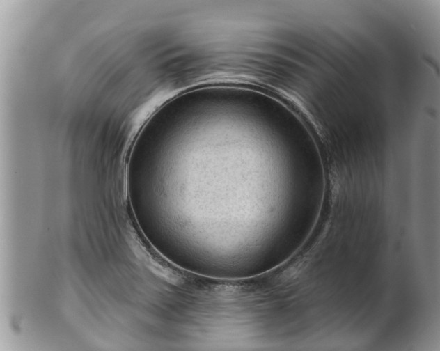 X0000102281371200808011440