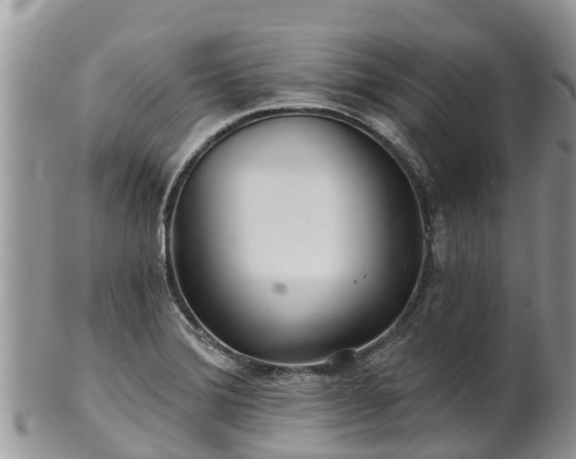 X0000102281372200808011440