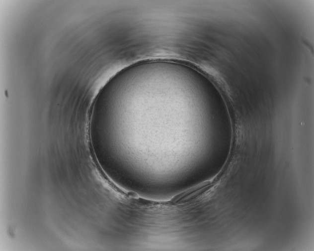 X0000102281374200808011440