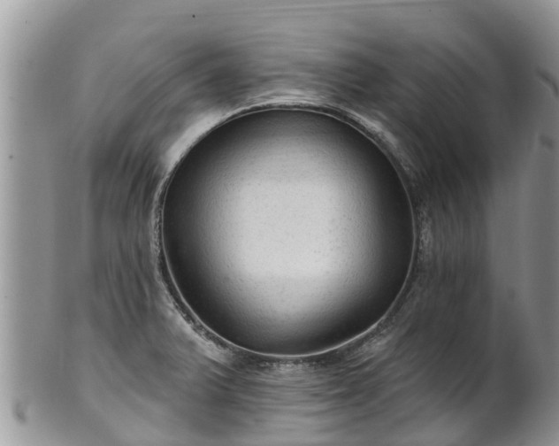 X0000102281375200808011440