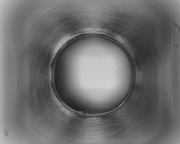 X0000102281376200808011440