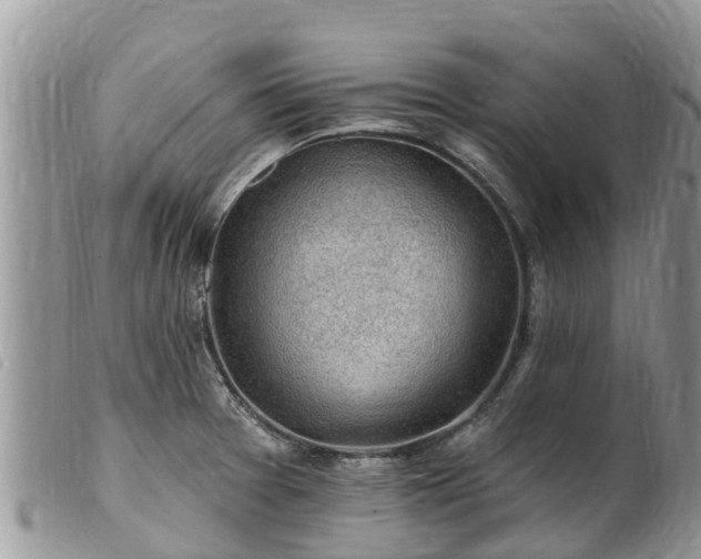 X0000102281377200808011440