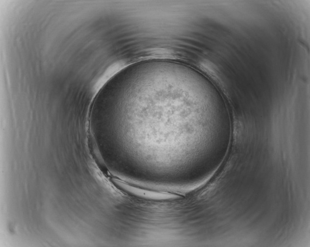 X0000102281378200808011440