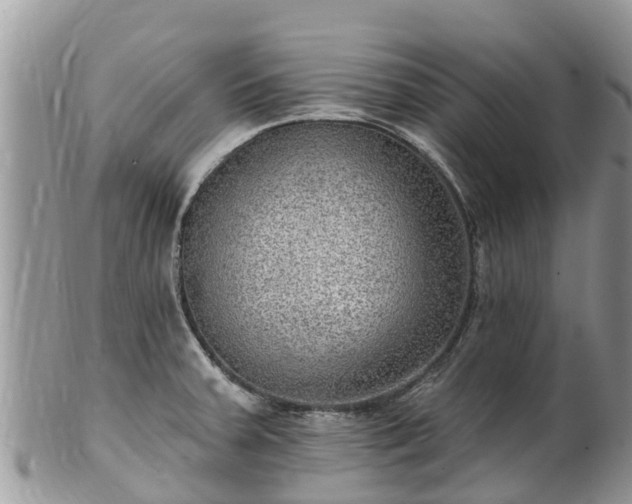 X0000102281379200808011440