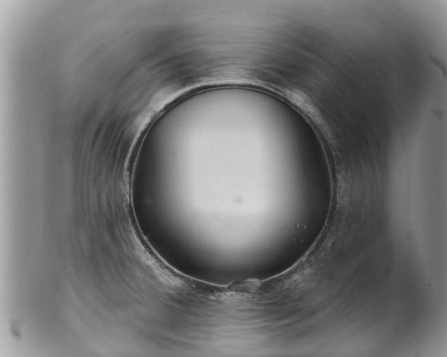 X0000102281380200808011440