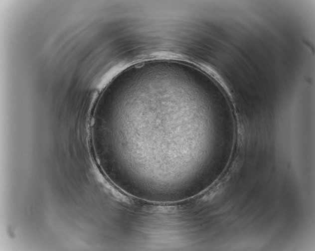 X0000102281381200808011440