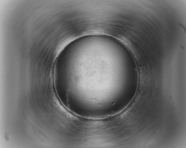 X0000102281382200808011440