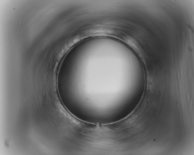 X0000102281384200808011440