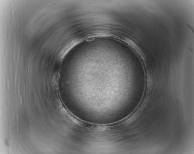 X0000102281385200808011440