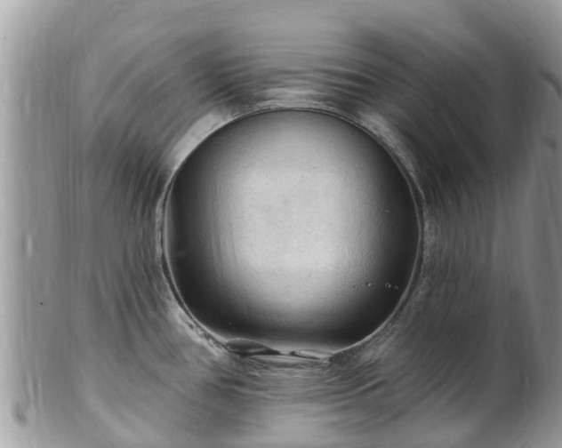 X0000102281386200808011440