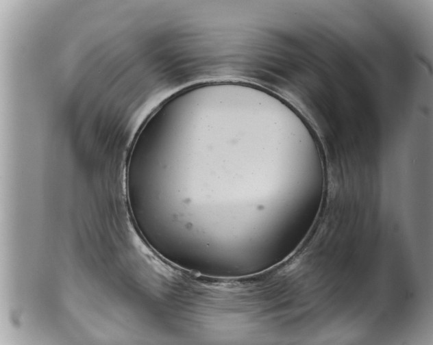 X0000102281388200808011440