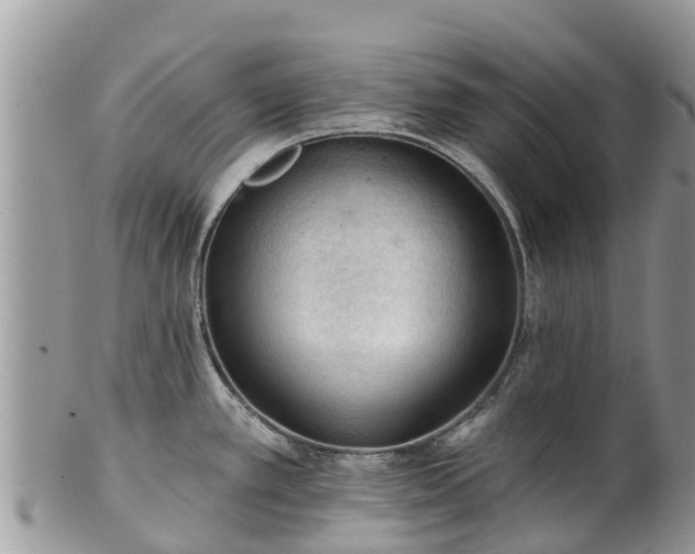 X0000102281389200808011440