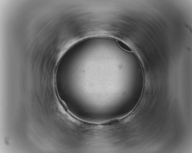 X0000102281390200808011440