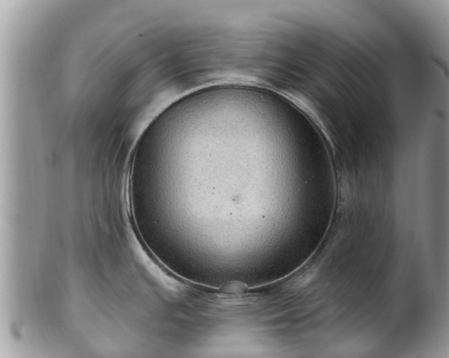 X0000102281391200808011440